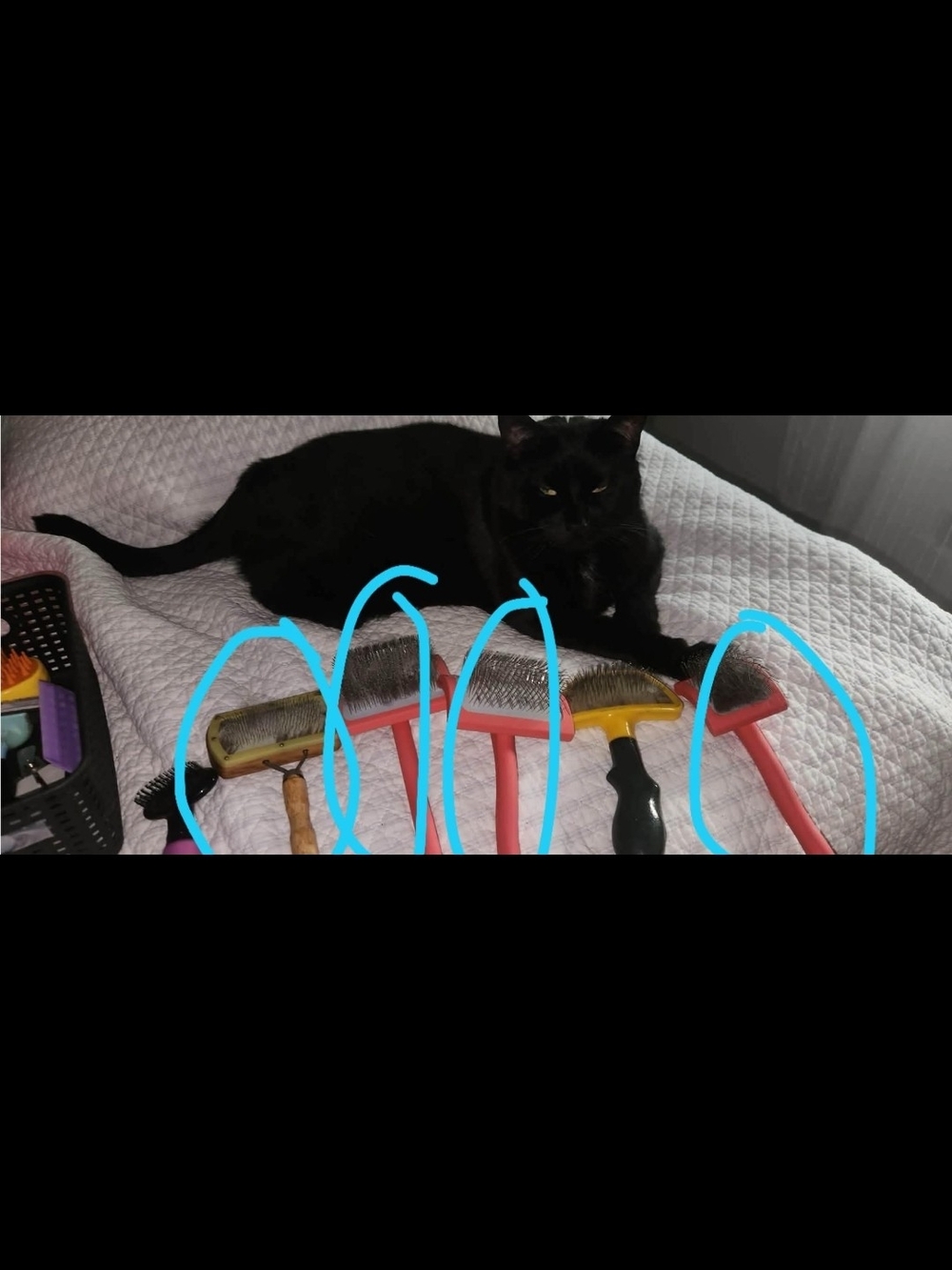 Red and Yellow Pet Slicker Brushes - Cat Grooming Brush Set Very Well Preowned